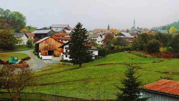 A rural village with traditional houses, a church, and a large wooden barn.