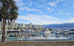 Marina