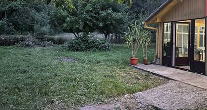 Lodge Alpin Vanny&Jessy Transylvanian Hideaway Dejani brasov Romania