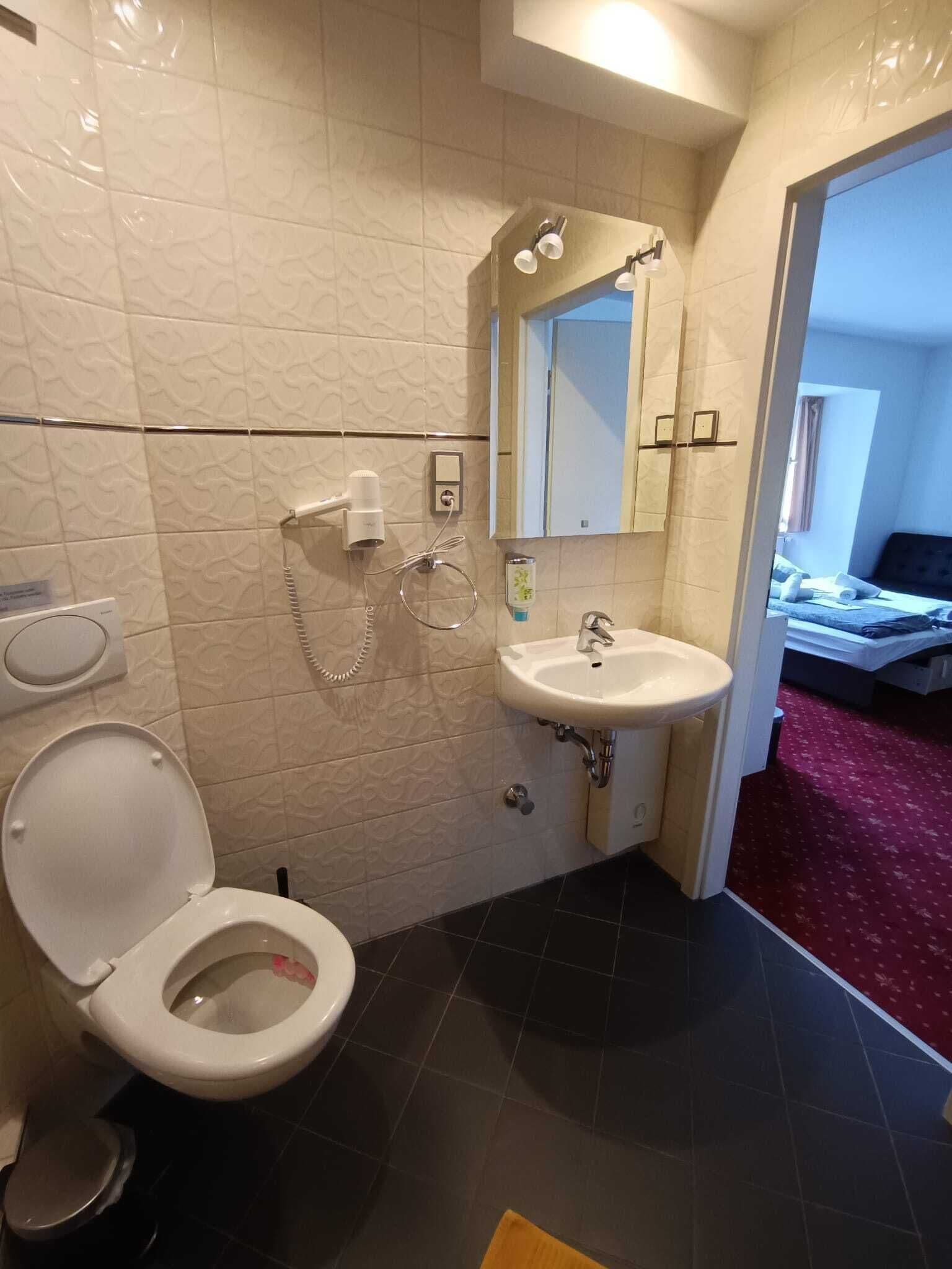 A bathroom with a toilet, sink, and mirror.