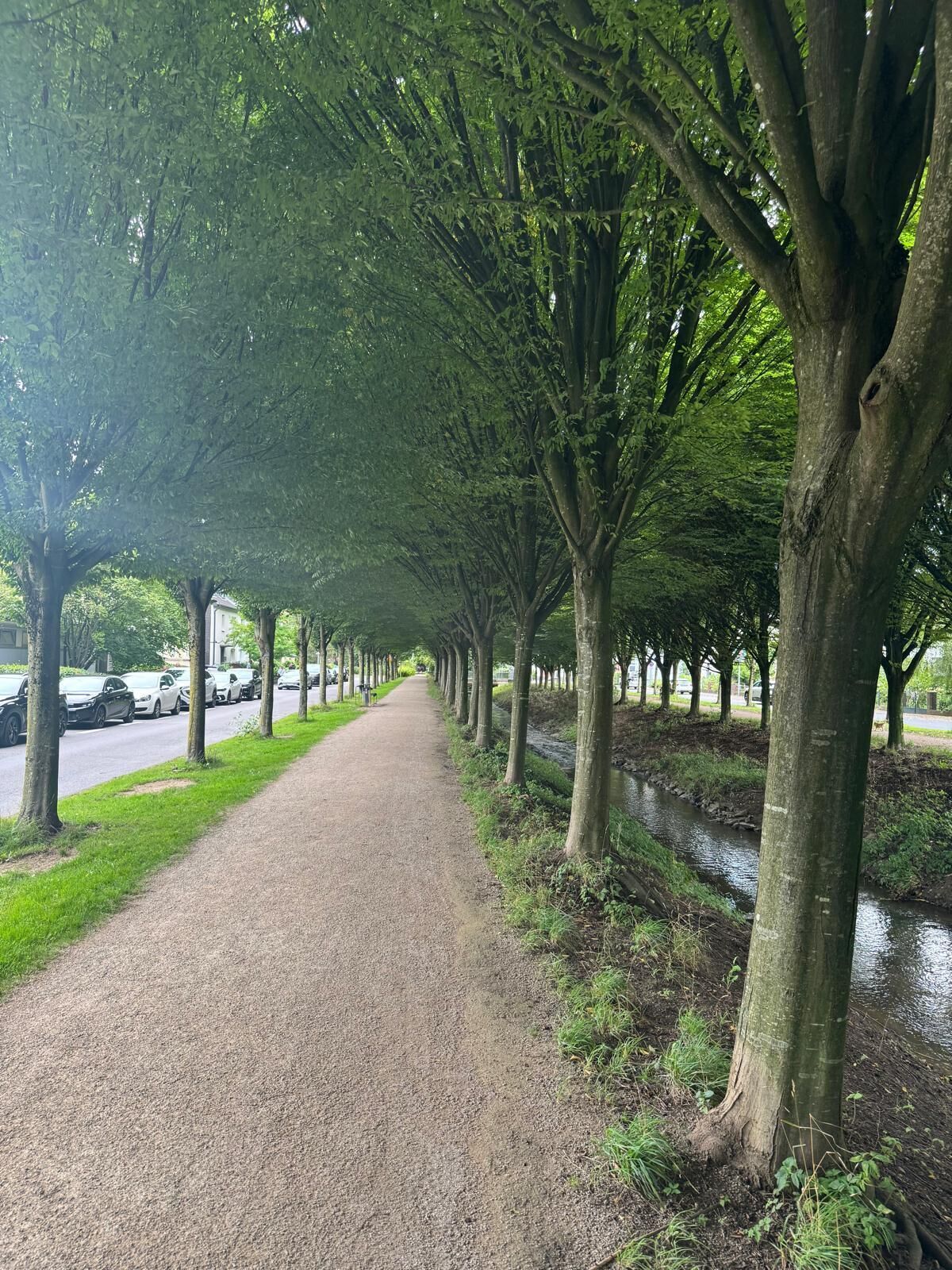 Een pad omzoomd door bomen, met een grindpad, een waterkanaal en geparkeerde auto's aan de zijkant.