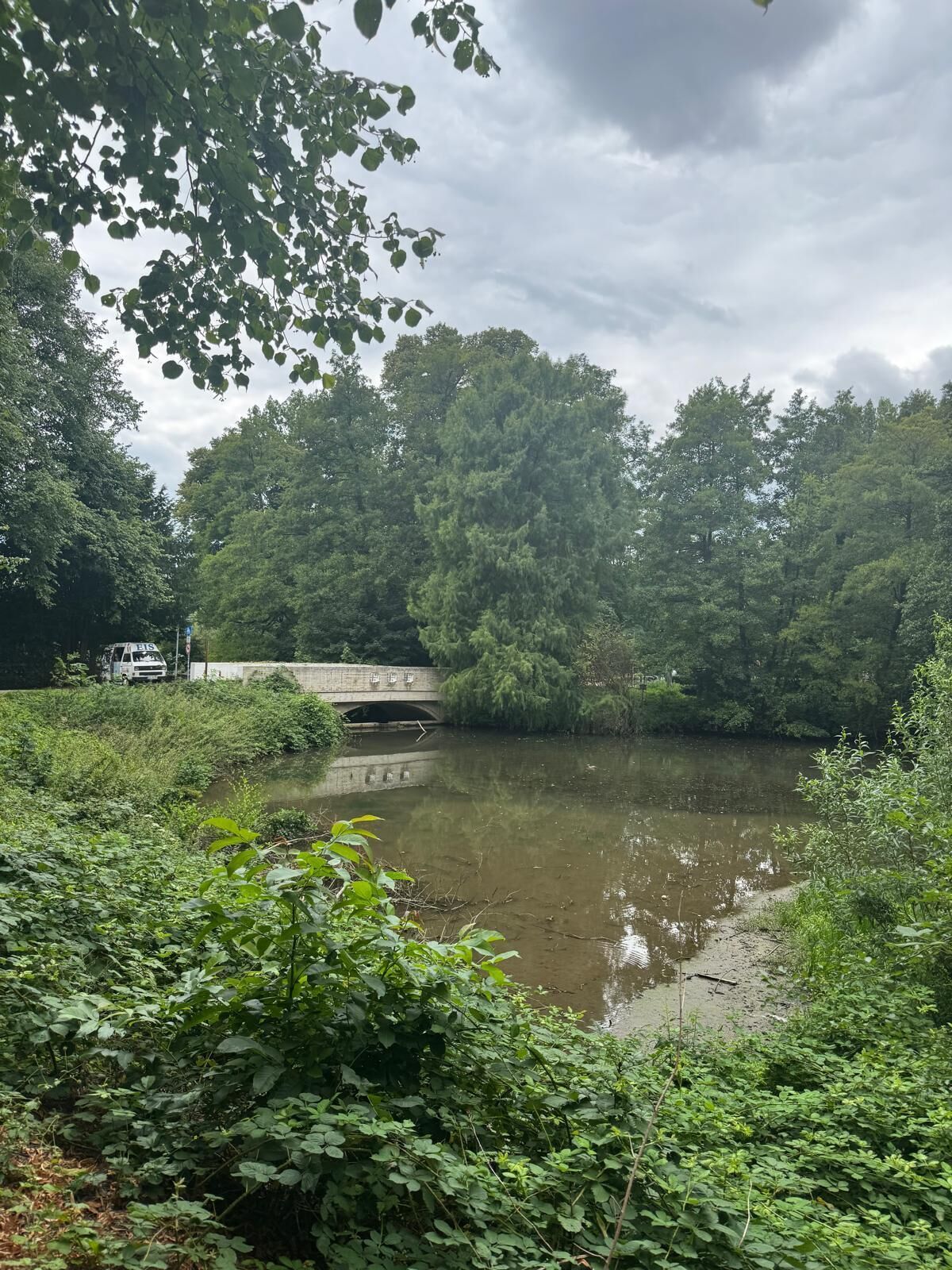 A river with a bridge and dense greenery.