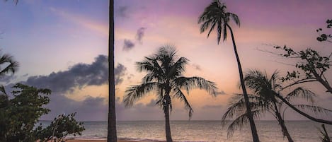 Accommodatie ligt op het strand