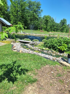 Terrain de l’hébergement 