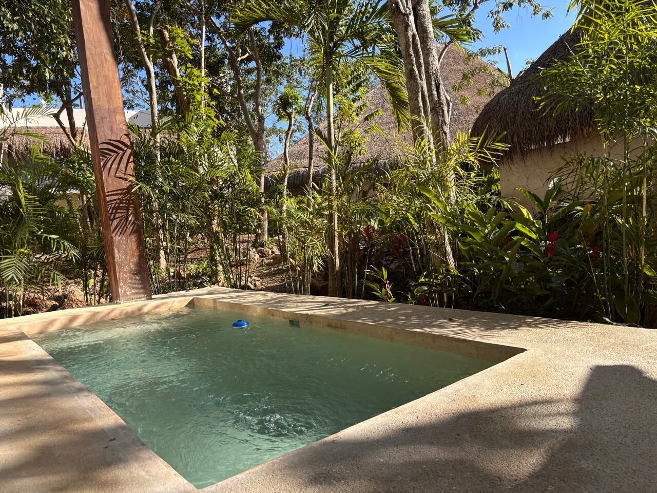 Una piscina rettangolare con acqua cristallina, circondata da vegetazione tropicale e una struttura con tetto di paglia.