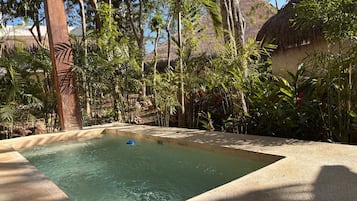 A rectangular pool with clear water, surrounded by tropical vegetation and a thatched-roof structure.