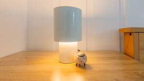 A wooden table with a lamp and a small decorative object.
