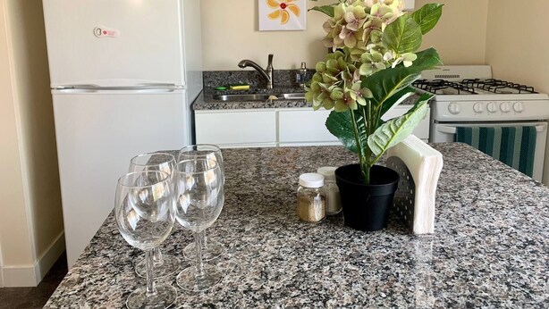 Eine Küche mit Kühlschrank, Mikrowelle, Spüle, Herd und einem Blumentopf auf der Arbeitsfläche.