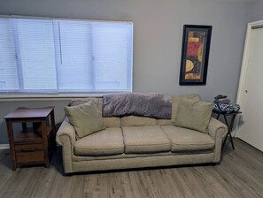 Living area - Spacious Studio near Brady St (Milwaukee)