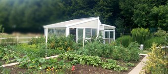 At the edge of the wood