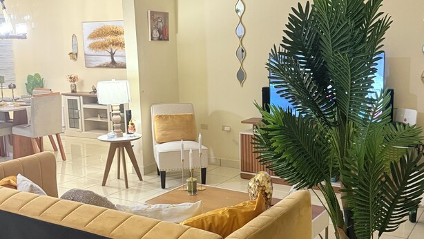 A living room with a sofa, a coffee table, a chair, and a potted plant.