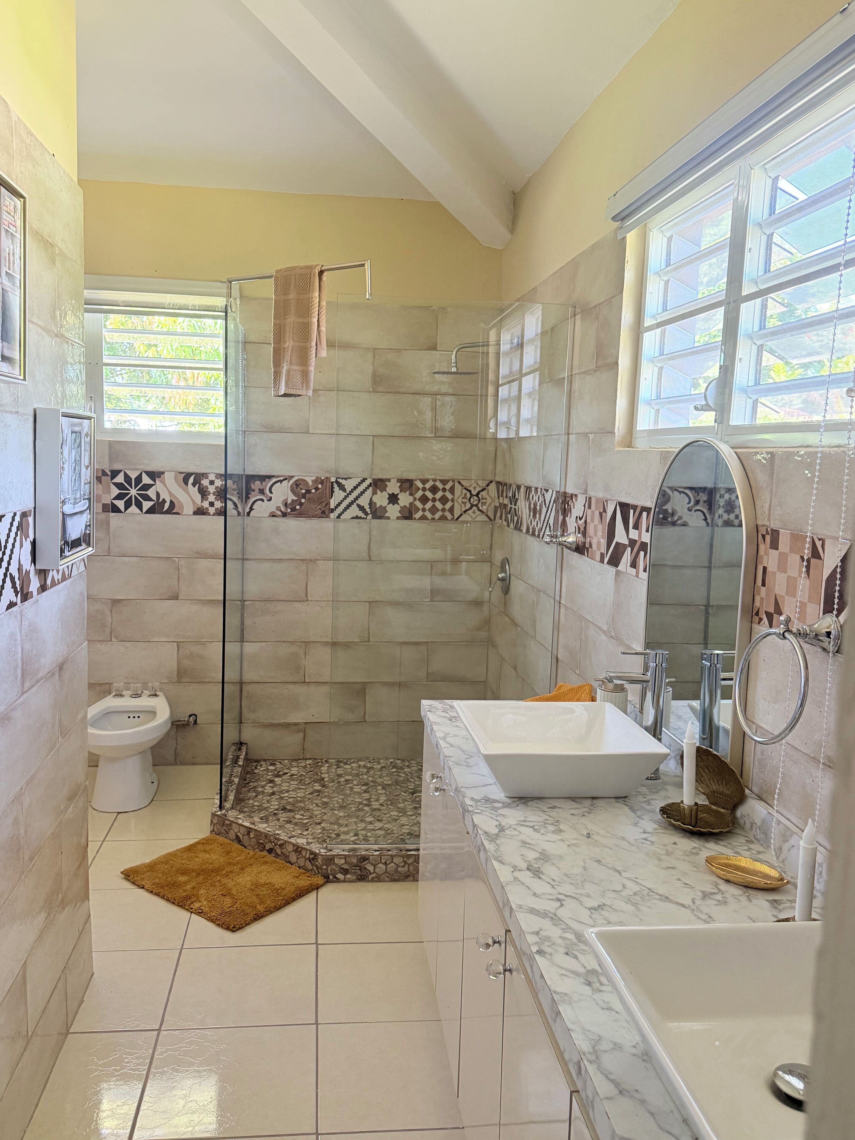 Shower, hair dryer, bidet, towels