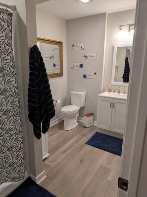 Hair dryer, towels, soap, toilet paper