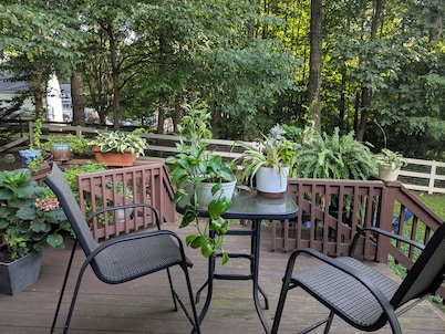 Newly finished basement suite in Midlothian.  Very clean and spacious.