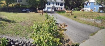 Charming 2Bdrm Retreat in Picturesque Saranac Lake
