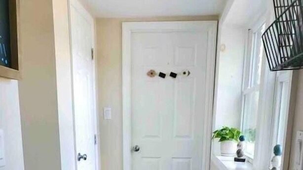 A hallway with a wooden floor, a doormat, a rug, a white door, and a window with a plant.