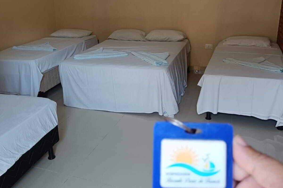Classic Suite | Free WiFi