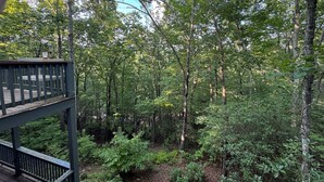 Eine Holzterrasse mit Geländer, die auf einen dichten Wald blickt.