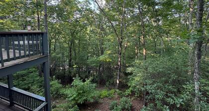 Helen Studio – King Bed, Roku TV, Private Deck