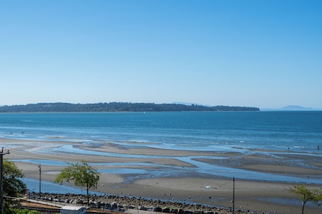 Beach. Oceanfront - Steps to Pier & Beach - Free Onsite Parking