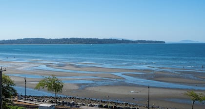 Oceanfront - Steps to Pier & Beach - Free Onsite Parking