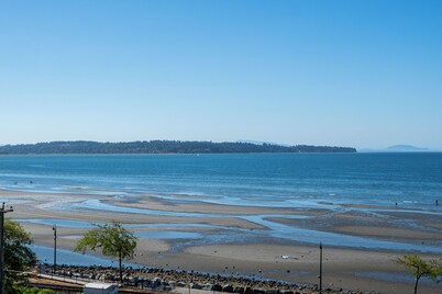 Oceanfront - Steps to Pier & Beach - Free Onsite Parking