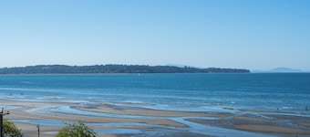 Oceanfront - Steps to Pier & Beach - Free Onsite Parking