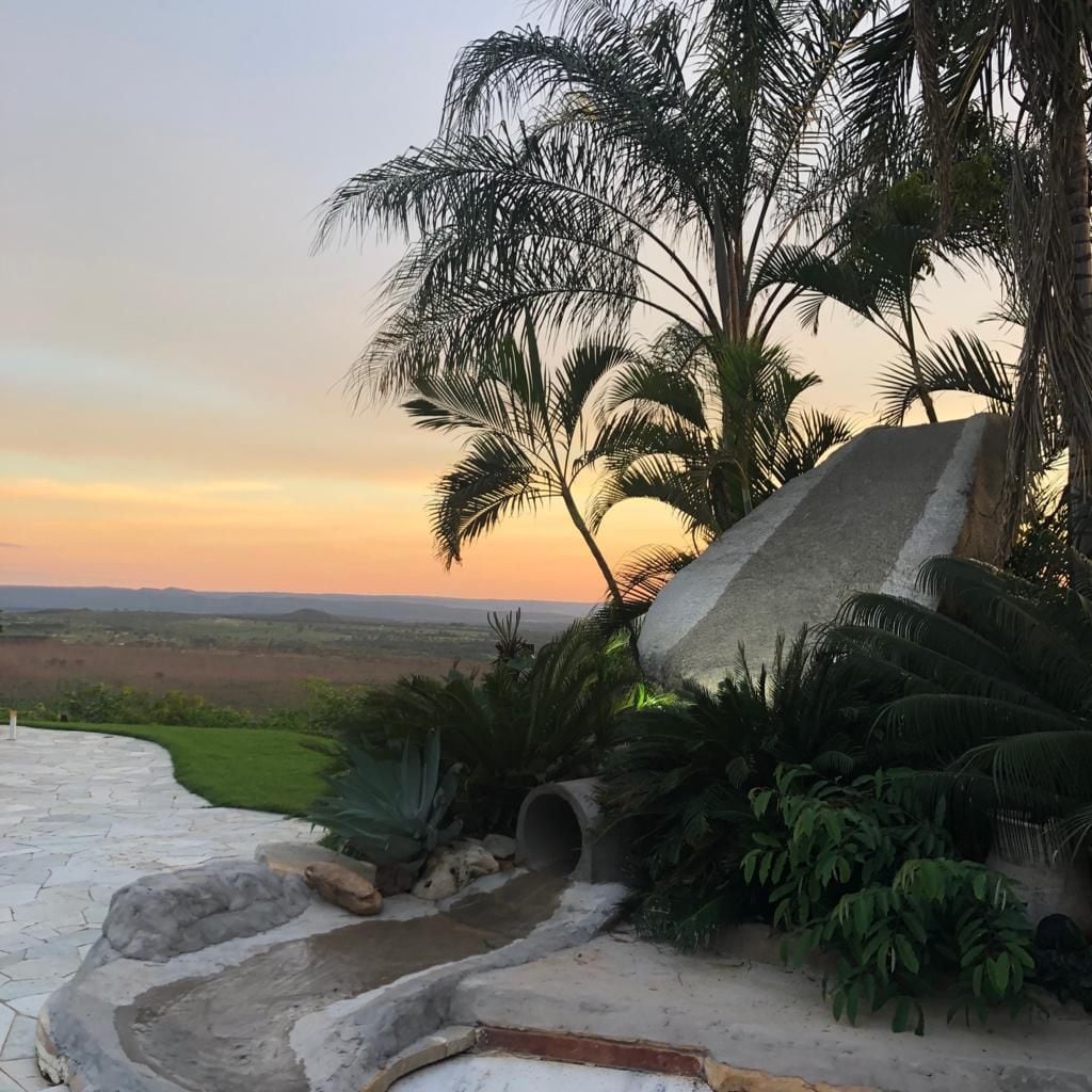 A landscaped area with a stone pathway, palm trees, and a view of the landscape.