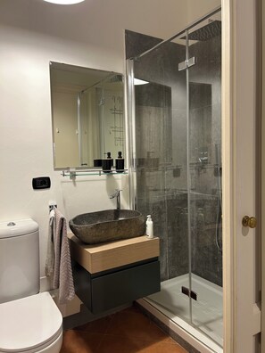 Shower, hair dryer, bidet, towels - Guinigi House (Lucca)