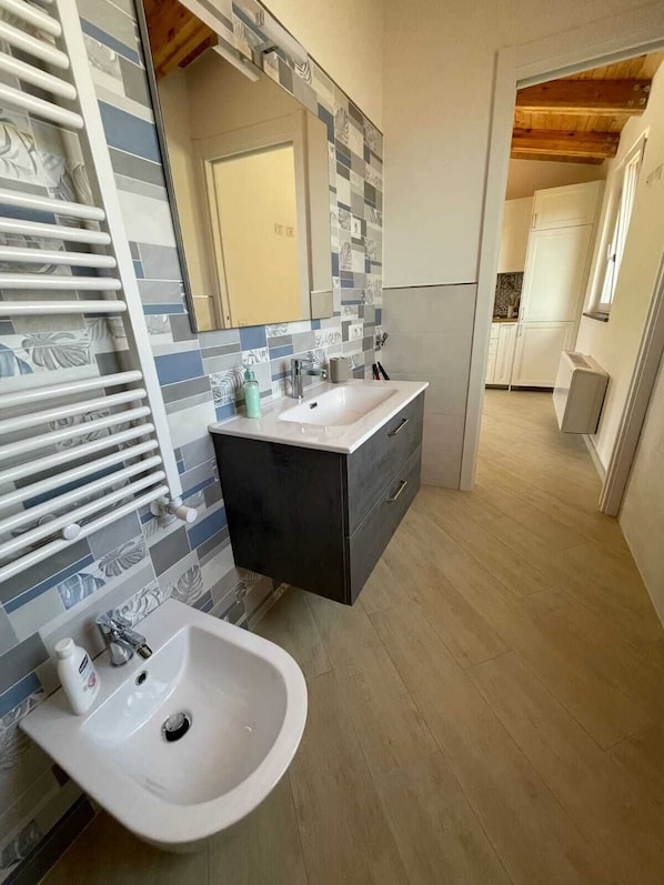 Shower, hair dryer, bidet, towels