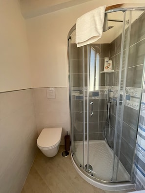 Shower, hair dryer, bidet, towels