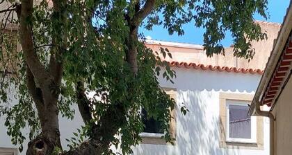 Room 4 na Casa das Olarias - 2 guests