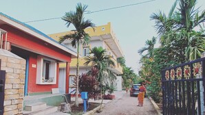 Une rue résidentielle bordée de maisons, avec un chemin de terre et une zone clôturée agrémentée de palmiers.