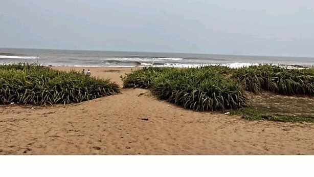 Une plage de sable offrant une vue dégagée sur l’océan et un sentier menant à l’eau.