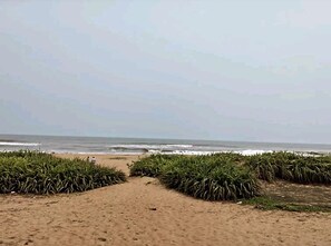 A sandy beach with a clear view of the ocean and a path leading to the water. - Tranquil AC Farmhouse with modern amenities in charming Puri with Activities. (Brahmagiri)