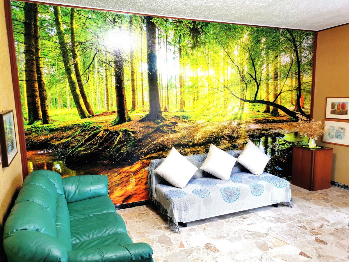 Image de profil de l’hôte