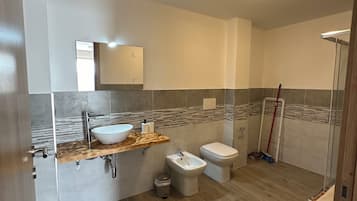 Shower, hair dryer, bidet, towels