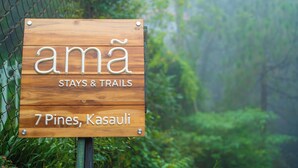 Een houten bord met de tekst 'ama STAYS & TRAILS 7 Pines, Kasauli'.