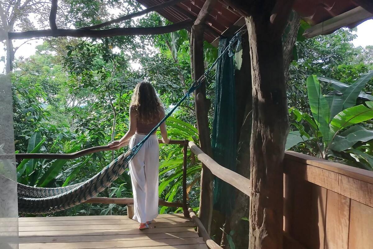 A wooden deck with a hammock, surrounded by lush greenery.