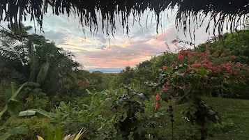 Deluxe Cabin, Ocean View | Terrace/patio