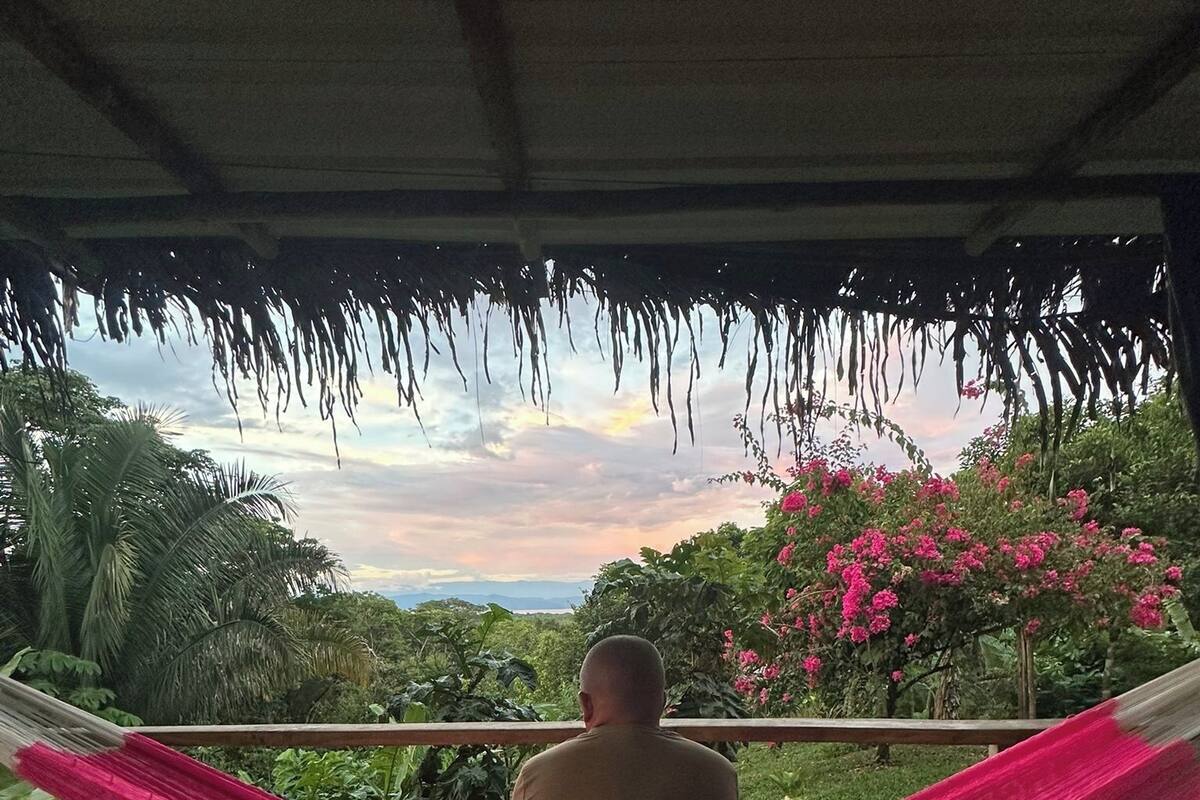 A person relaxing in a hammock on a wooden deck with a view of lush greenery and pink flowers.