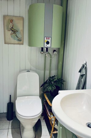 A bathroom with a toilet, a sink, a green water heater, and a framed picture on the wall.
