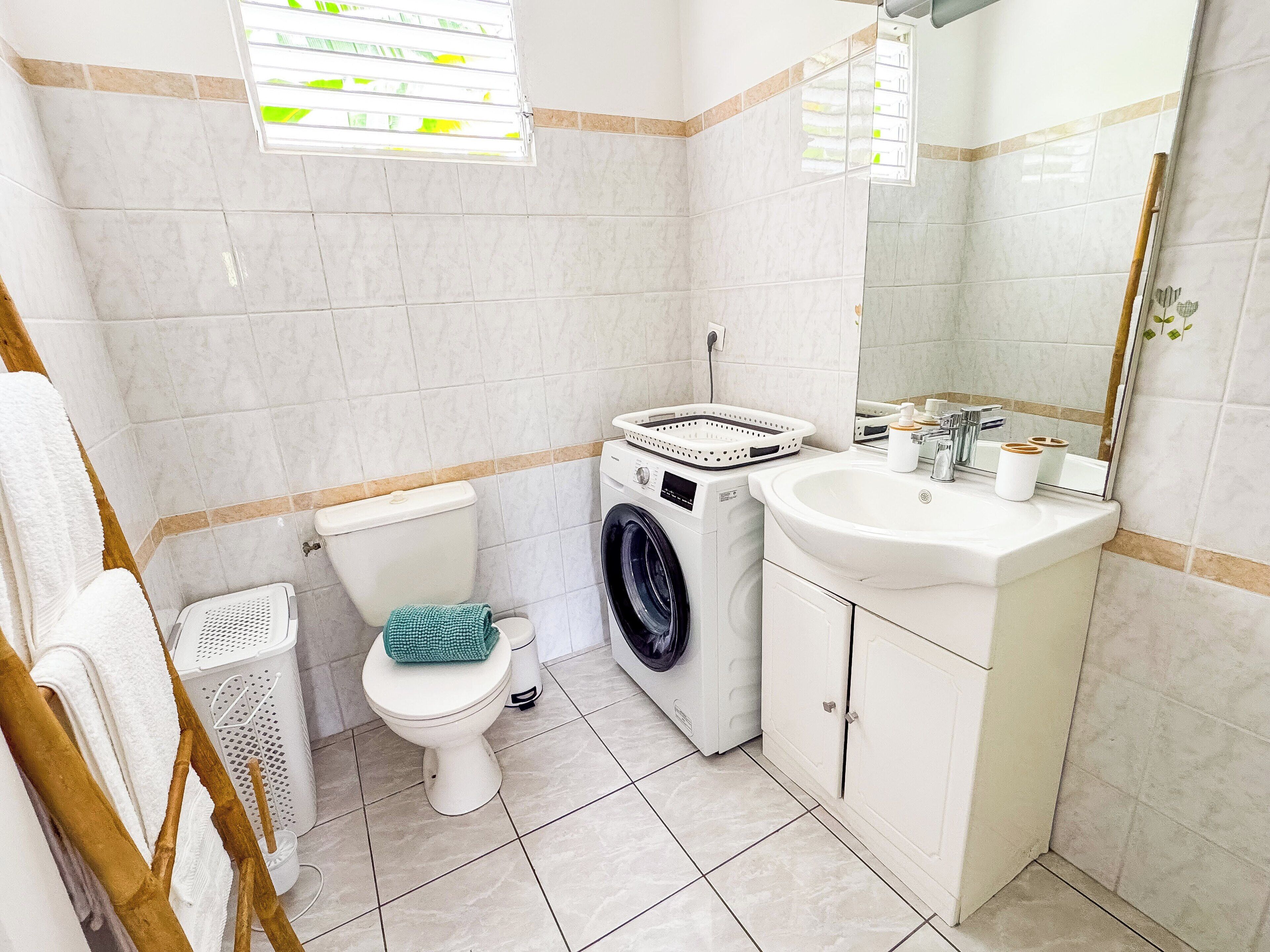 Une salle de bain équipée de toilettes, d’un lave-linge, d’un lavabo et d’un miroir.