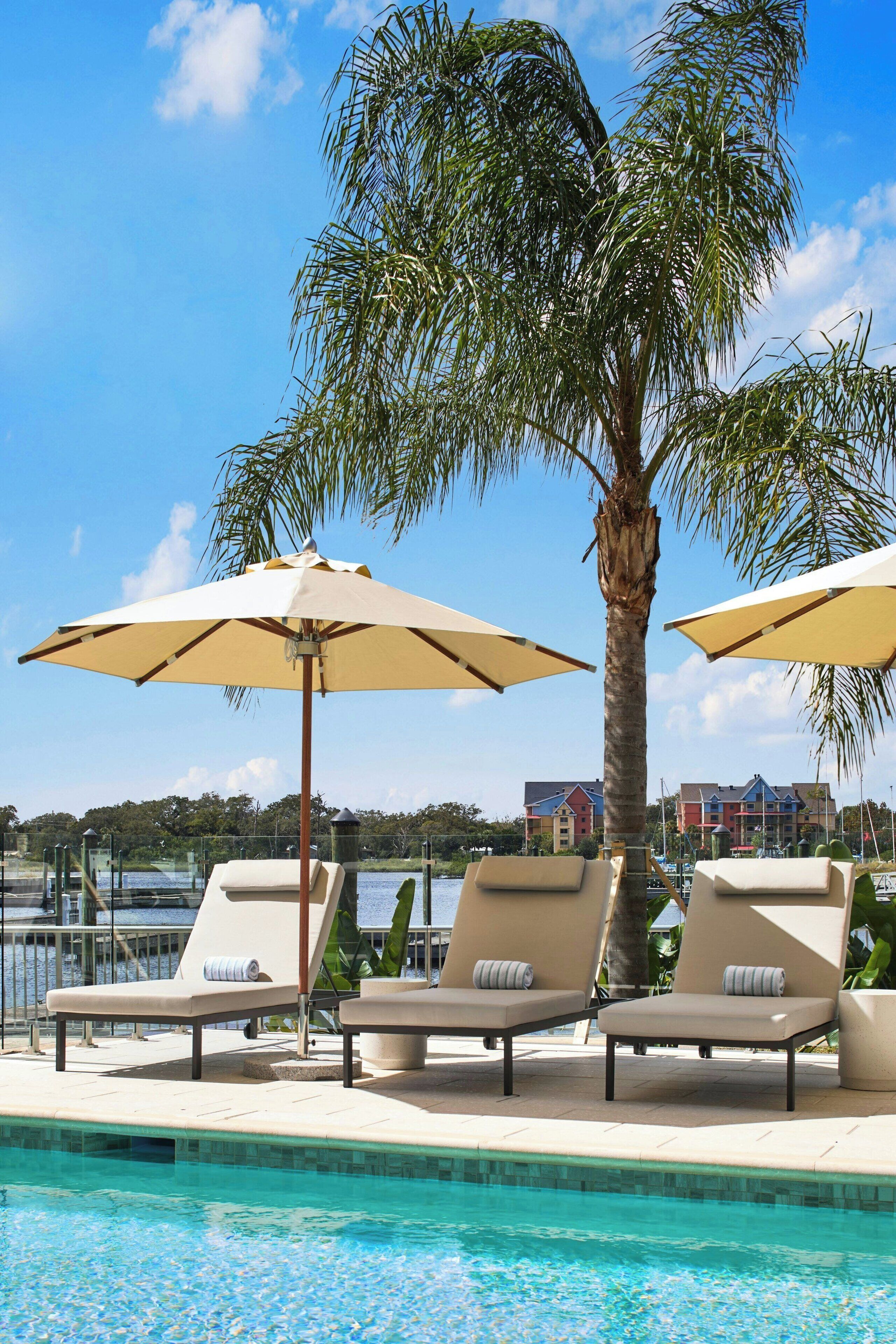 A poolside area with lounge chairs and umbrellas, a palm tree, and a view of buildings in the background.