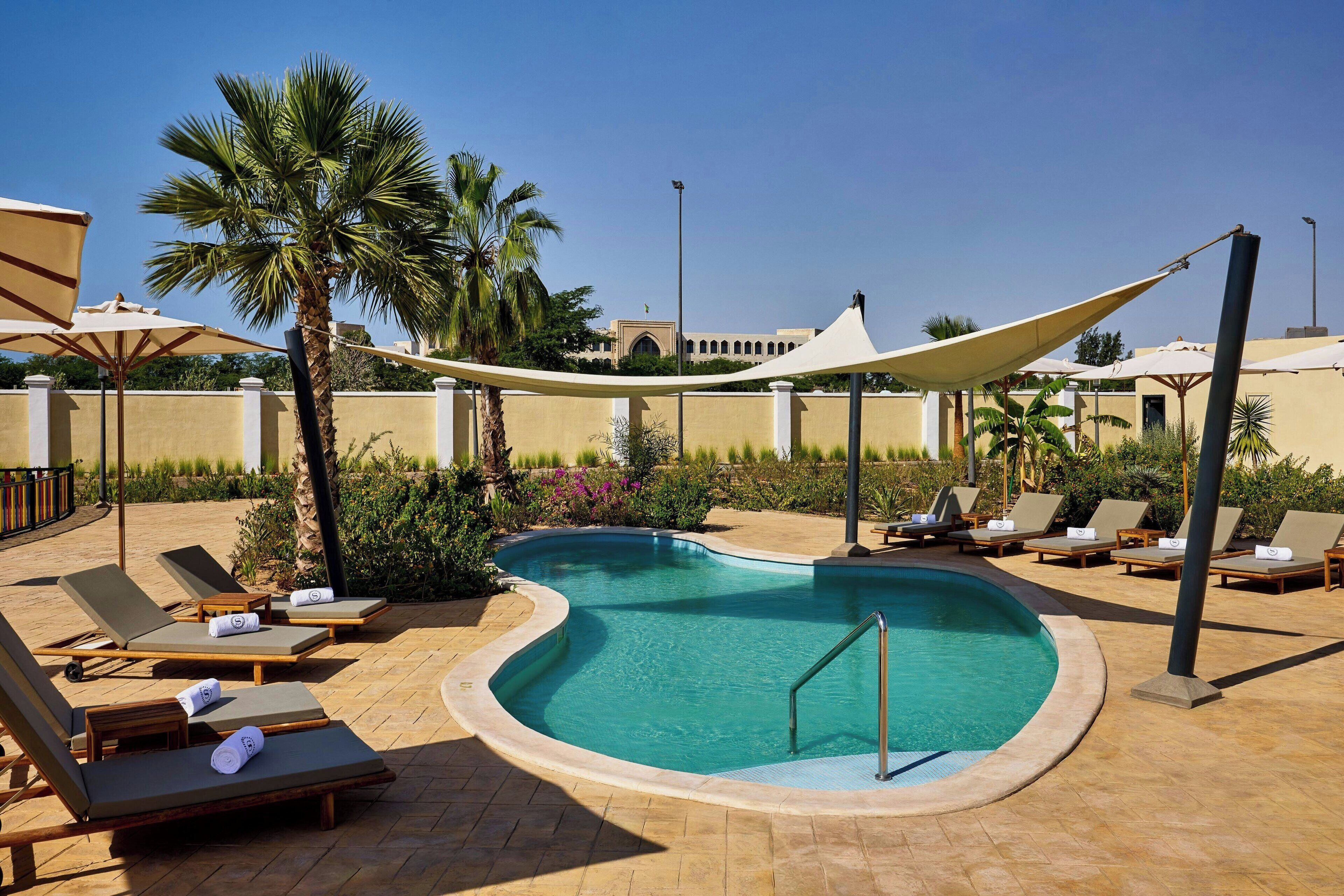 A pool area with lounge chairs and a palm tree.