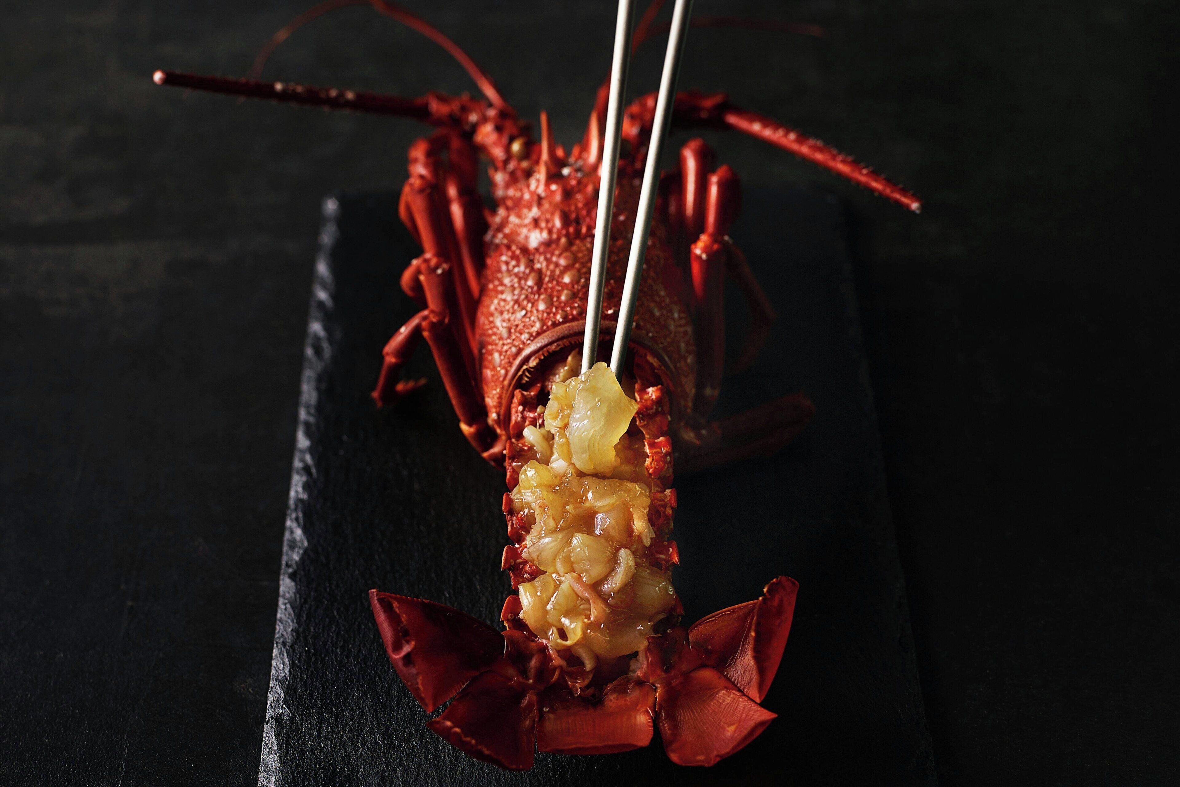 A lobster with a white sauce on a black tray.