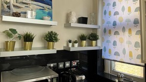 A kitchen with a stove, toaster, and various potted plants on shelves.