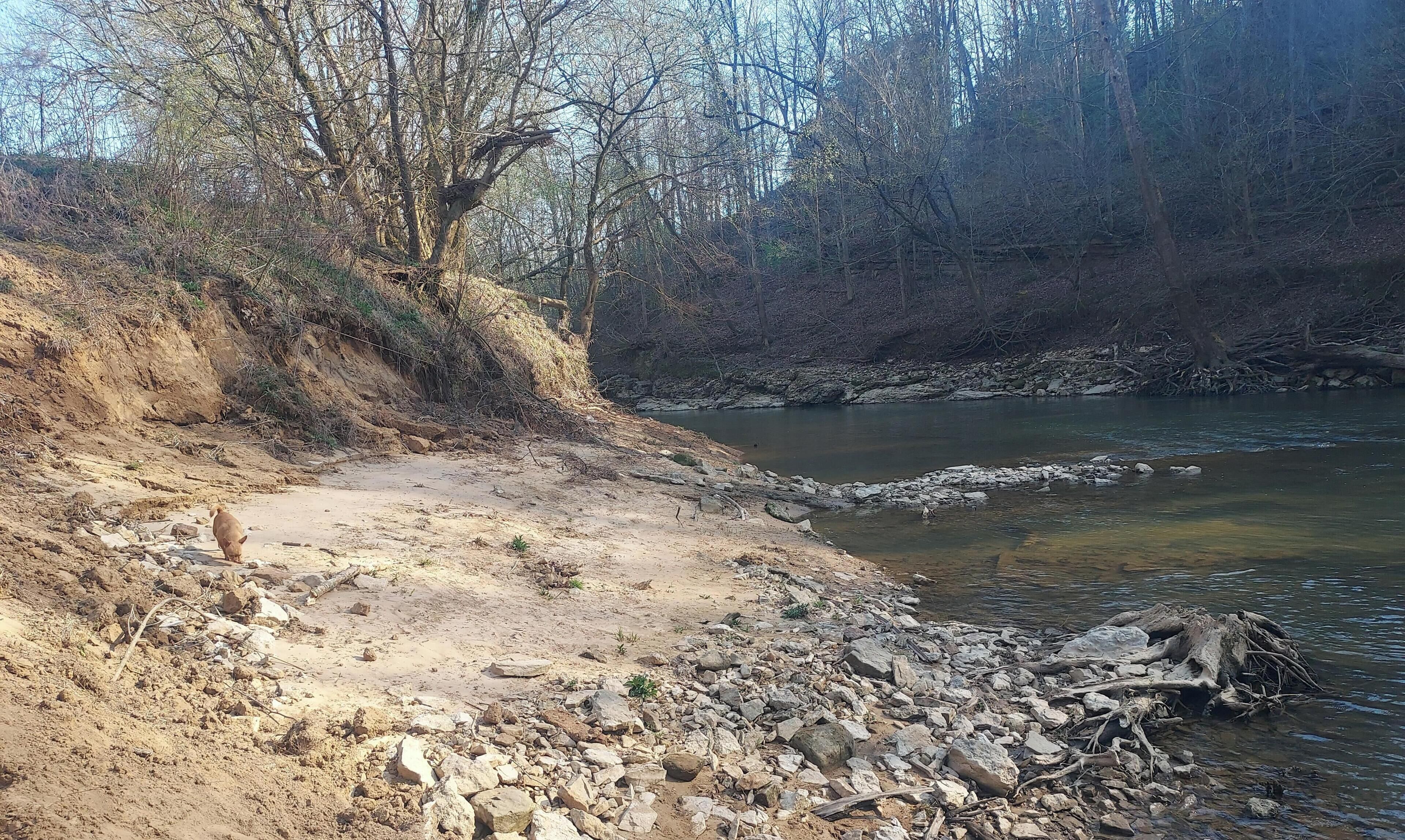 Une rive rocheuse, avec une végétation clairsemée, d’où l’on a une vue dégagée sur la rivière.