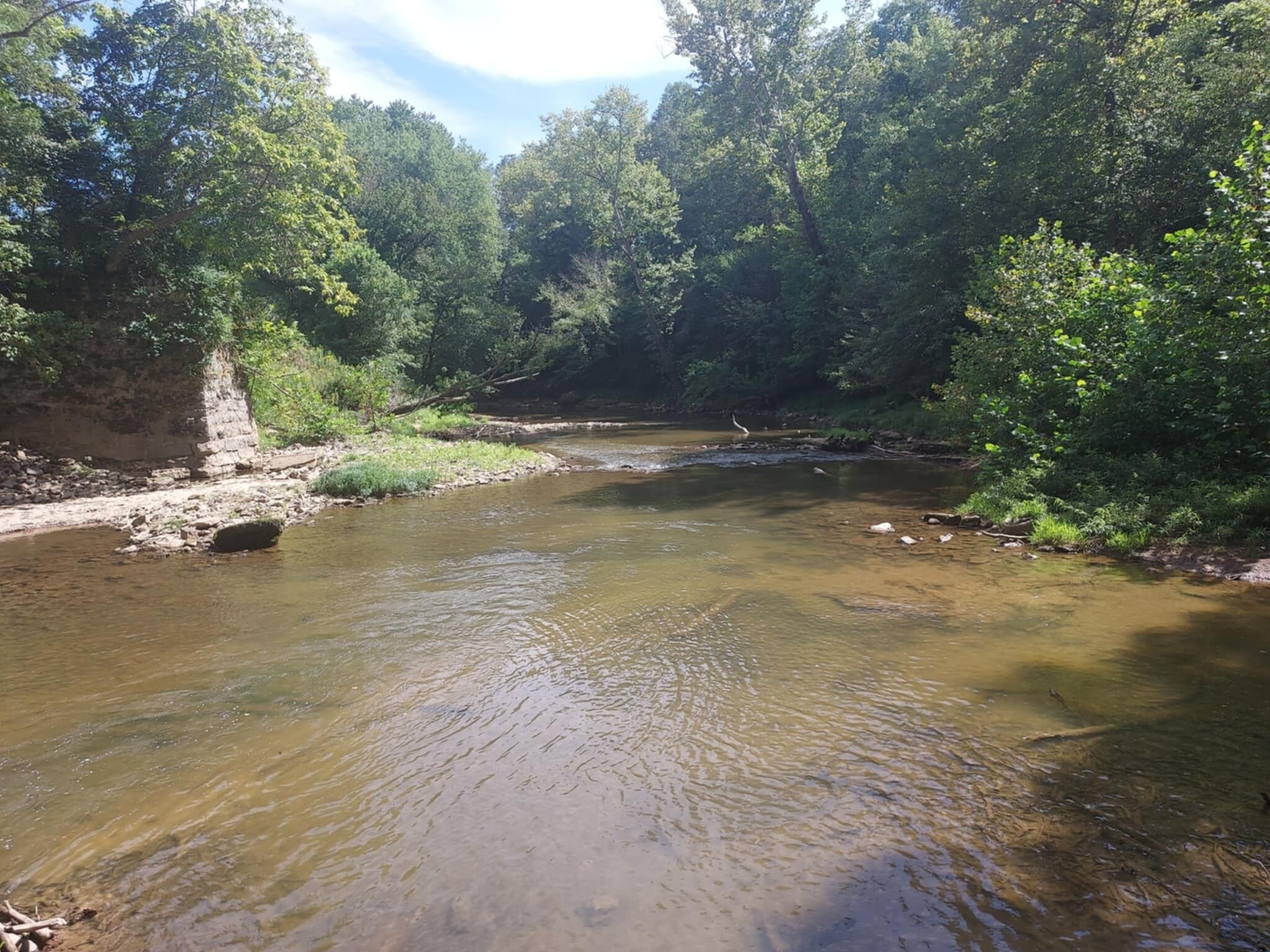 Ein Fluss fließt durch ein bewaldetes Gebiet mit steinigem Ufer und Bäumen an beiden Seiten.