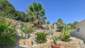 Een aangelegde tuin met verschillende cactussen en palmbomen, een stenen muur en een gebouw op de achtergrond.